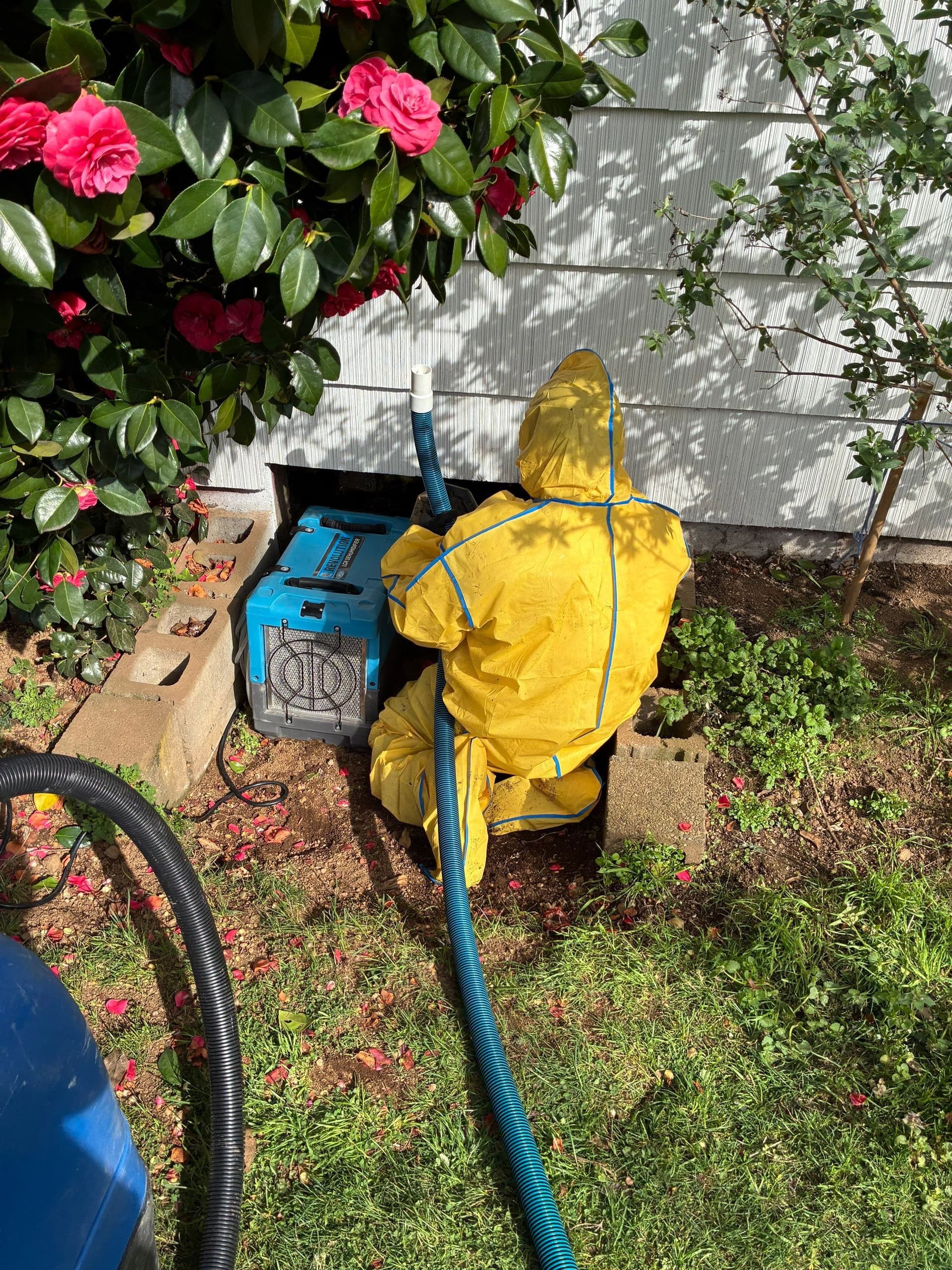 Emergency Pipe Burst Restoration in Vancouver WA image