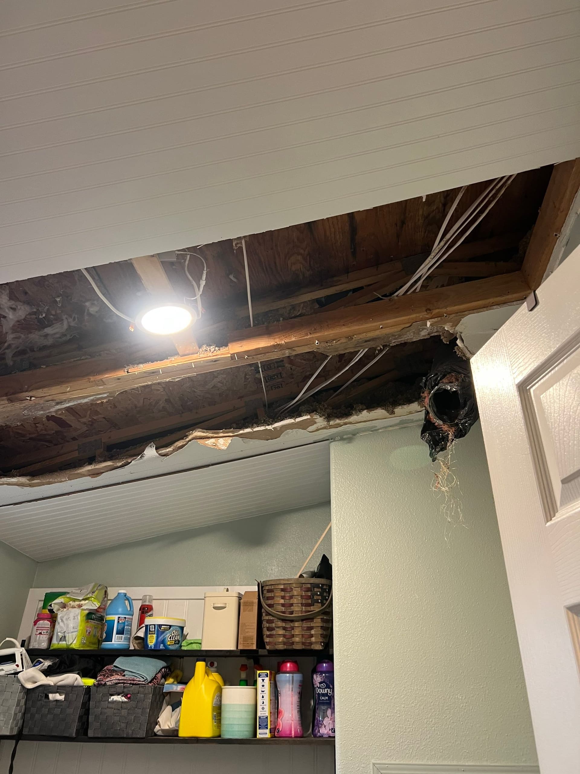 Roof Leak Water Damage - What It Really Looks Like Inside Your Walls image