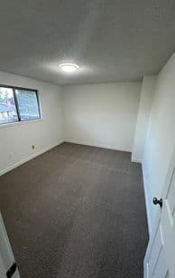 Empty room with beige carpet and large window, featuring neutral walls and ceiling light.