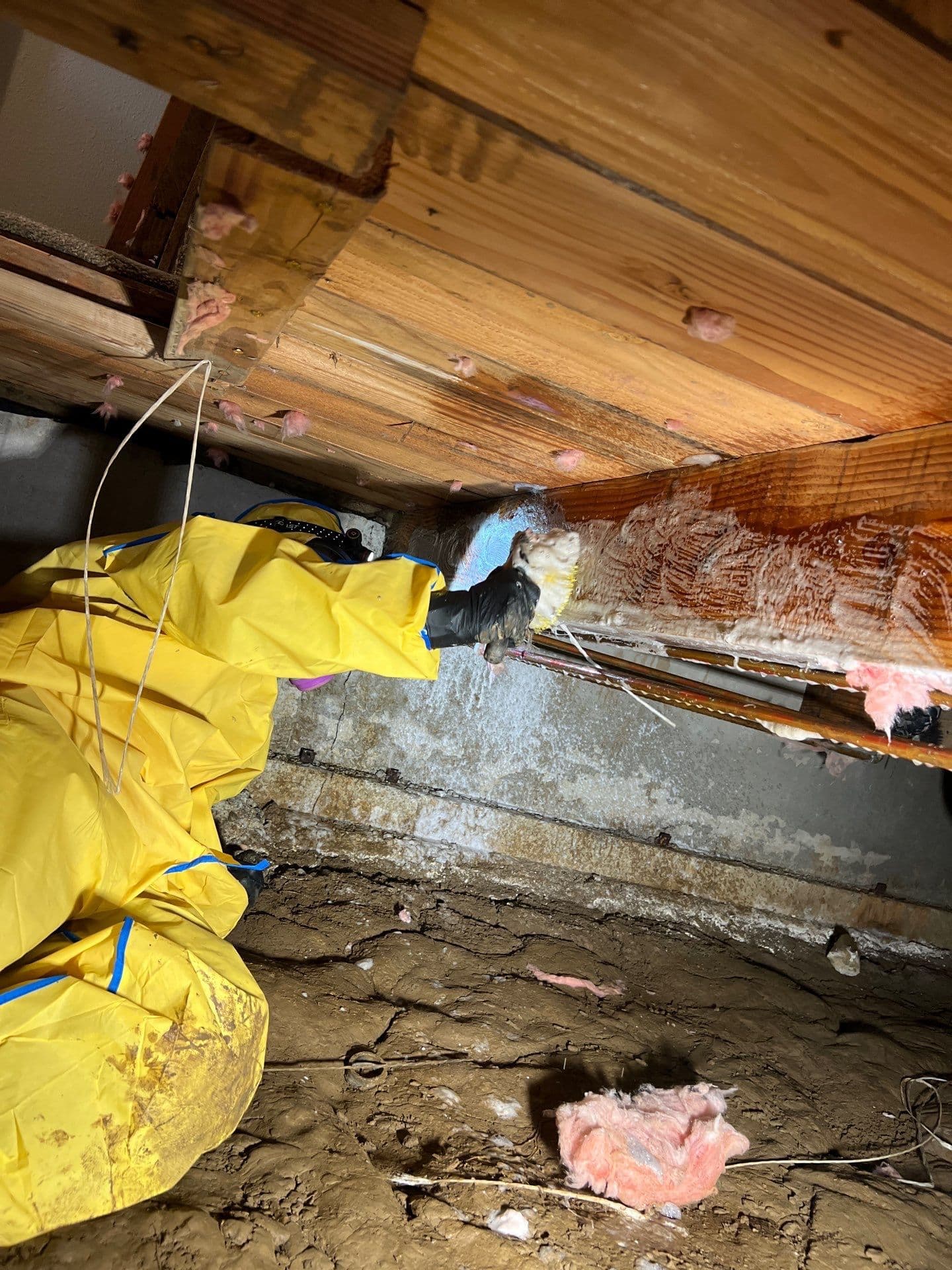 Water Damage Restoration Longview WA & Kelso WA | Common Issues, Costs & What Homeowners Should Do image