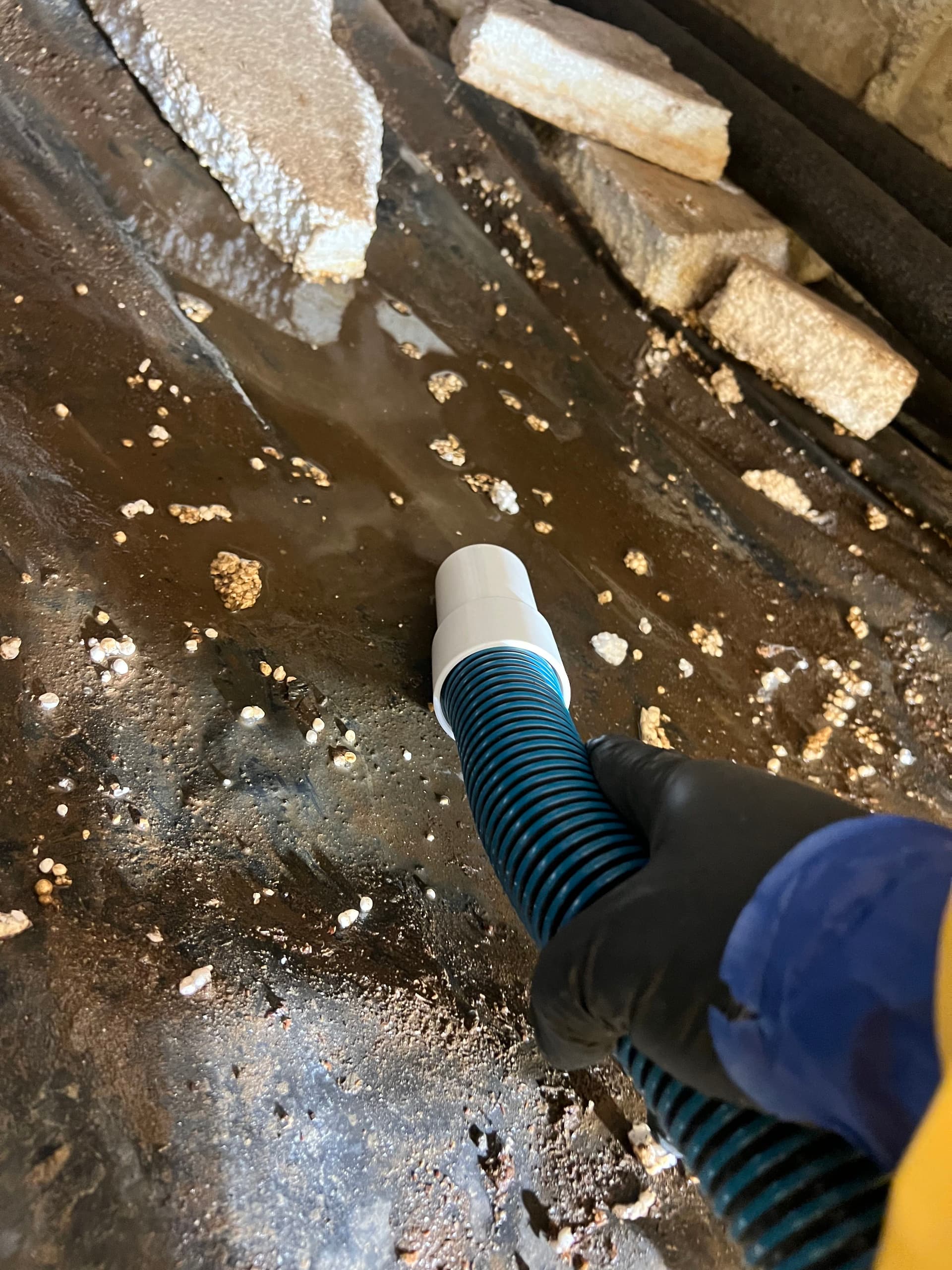 Toilet Overflow Cleanup Services in Clark County WA image