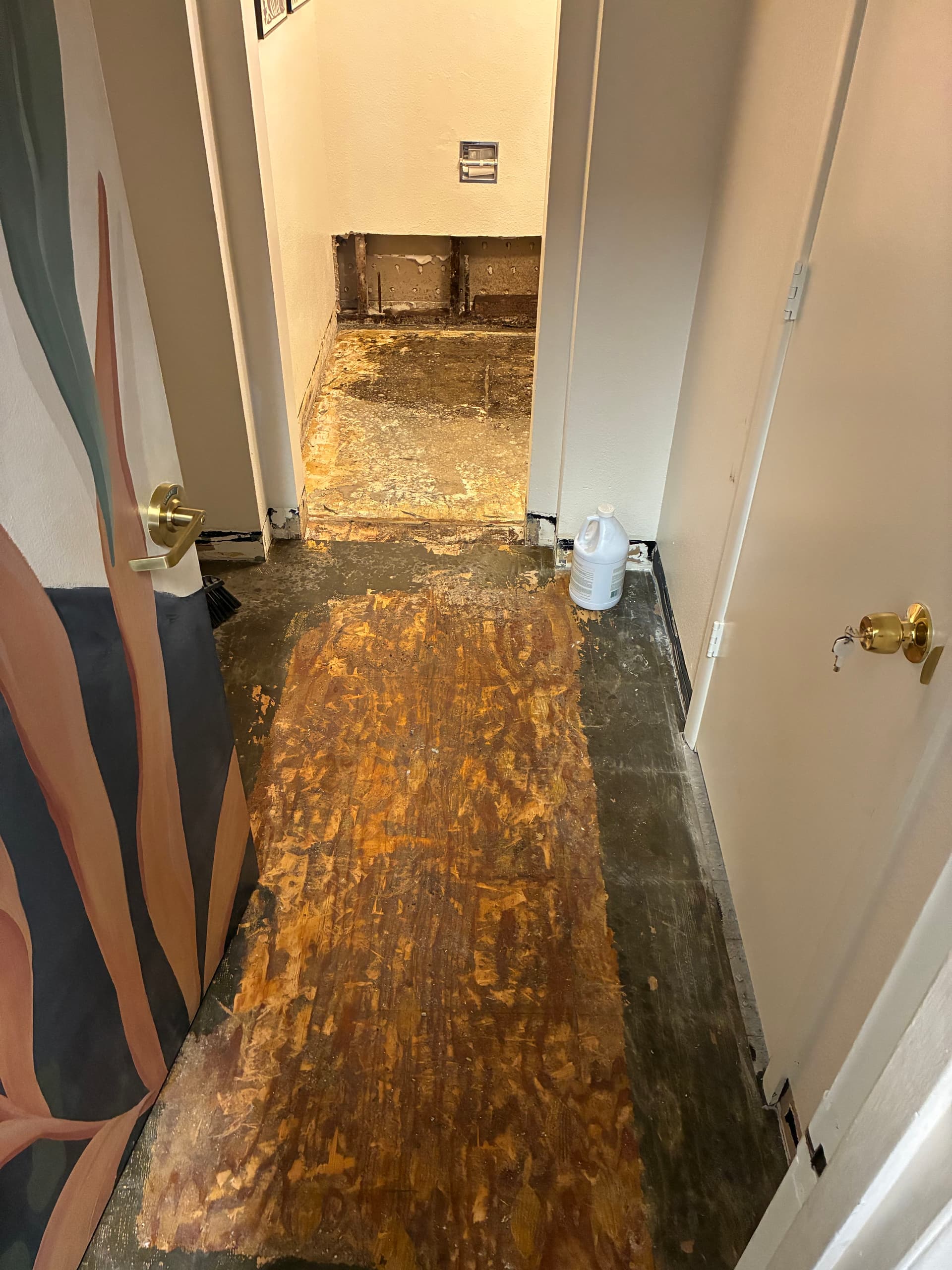 Common Water Damage Issues in Salmon Creek, WA – What Homeowners Need To Know image