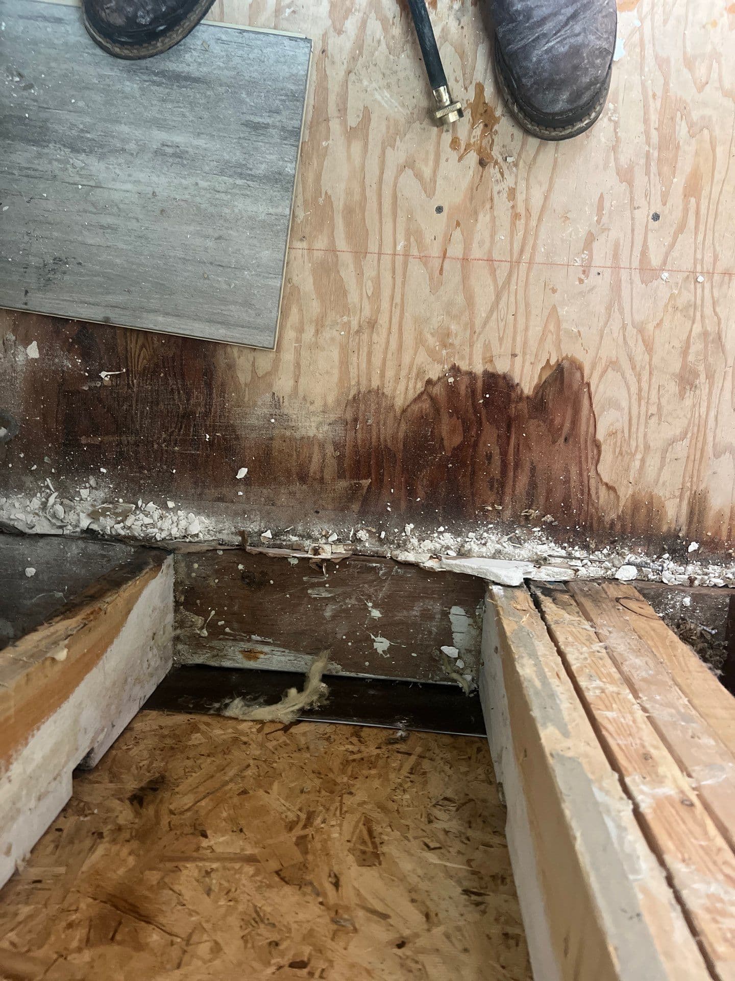 Gallery photos for Roof Leak Water Damage - What It Really Looks Like Inside Your Walls: Image #3