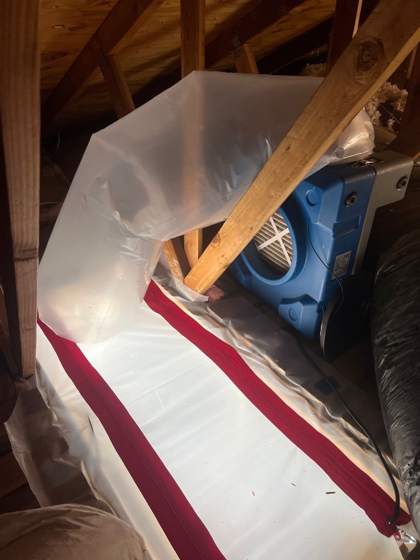 Gallery photos for Attic Mold Remediation Done Right in Vancouver WA: Image #1