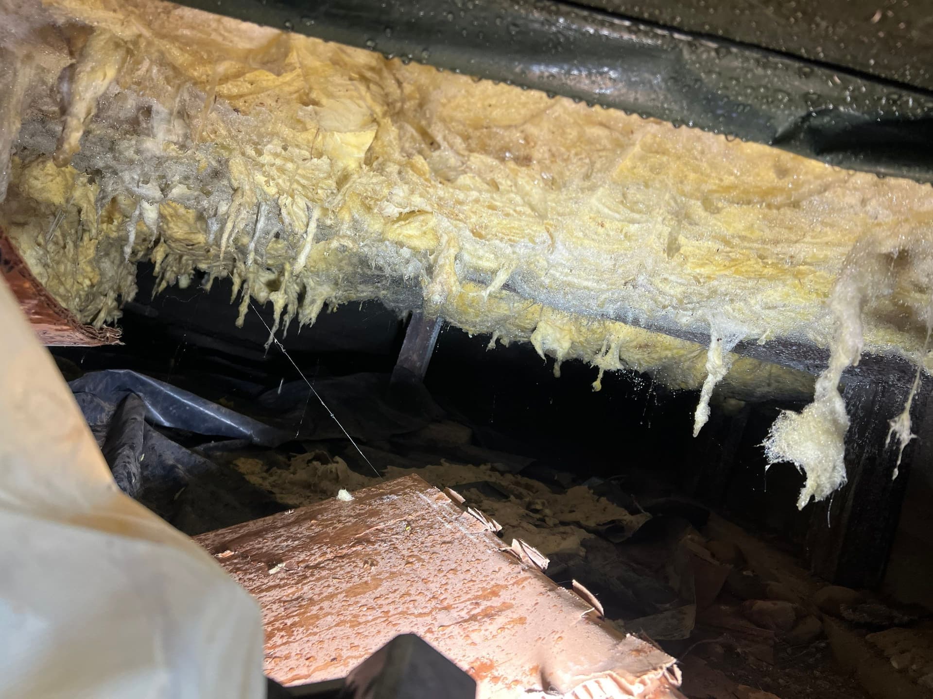 Gallery photos for Emergency Pipe Burst Restoration in Vancouver WA: Image #2