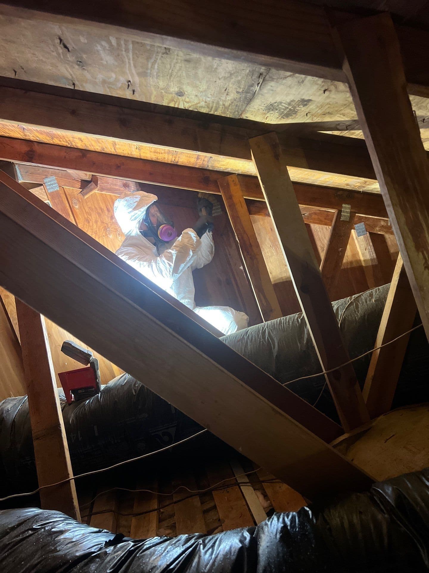 Gallery photos for Attic Mold Remediation Done Right in Vancouver WA: Image #2