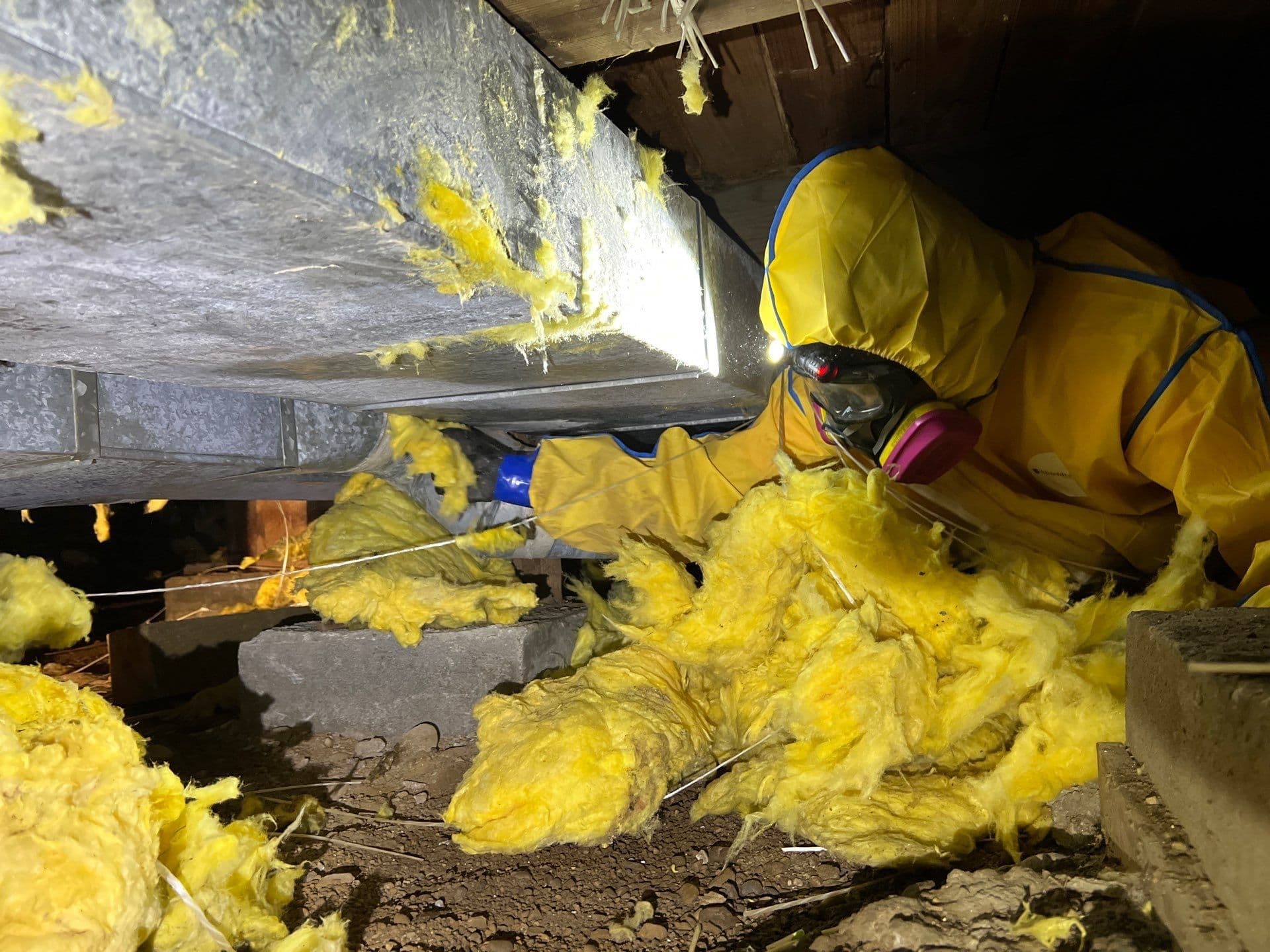 Rapid Response to Crawl Space Water Damage image