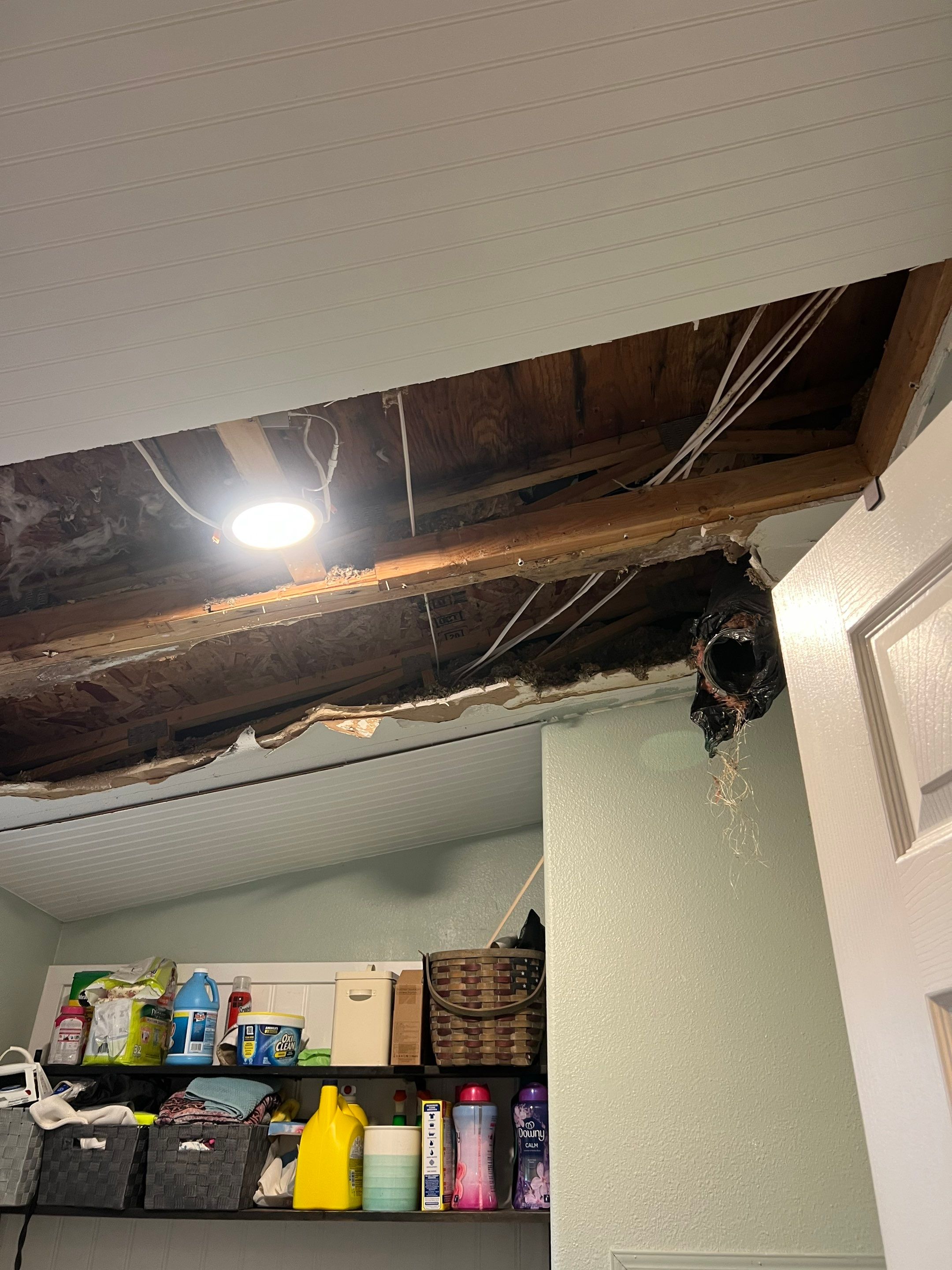 Roof Leak Water Damage - What It Really Looks Like Inside Your Walls