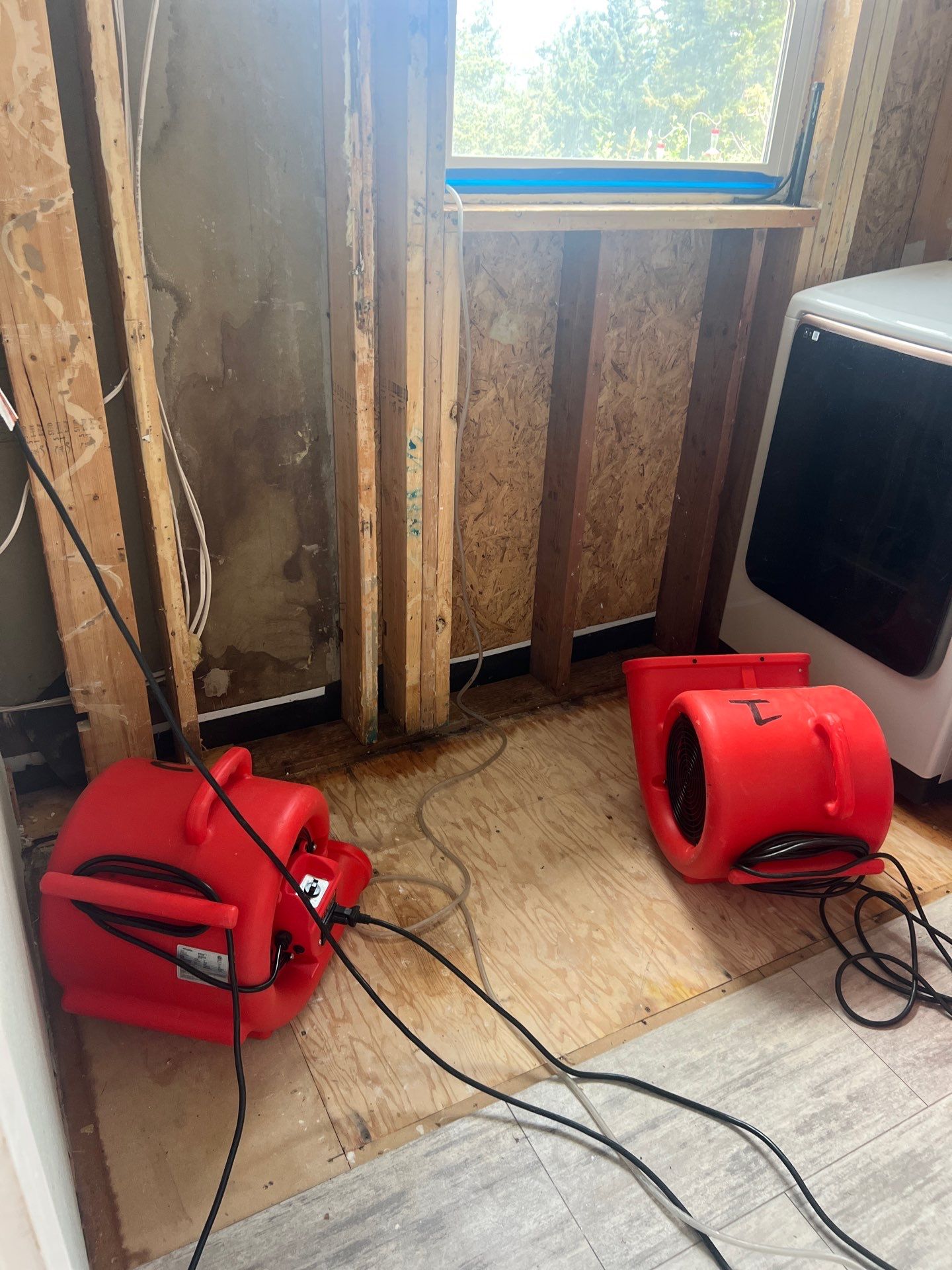 Blog post Clark County WA Water Damage Restoration Questions & Answers | Emergency Cleanup & Insurance Help image