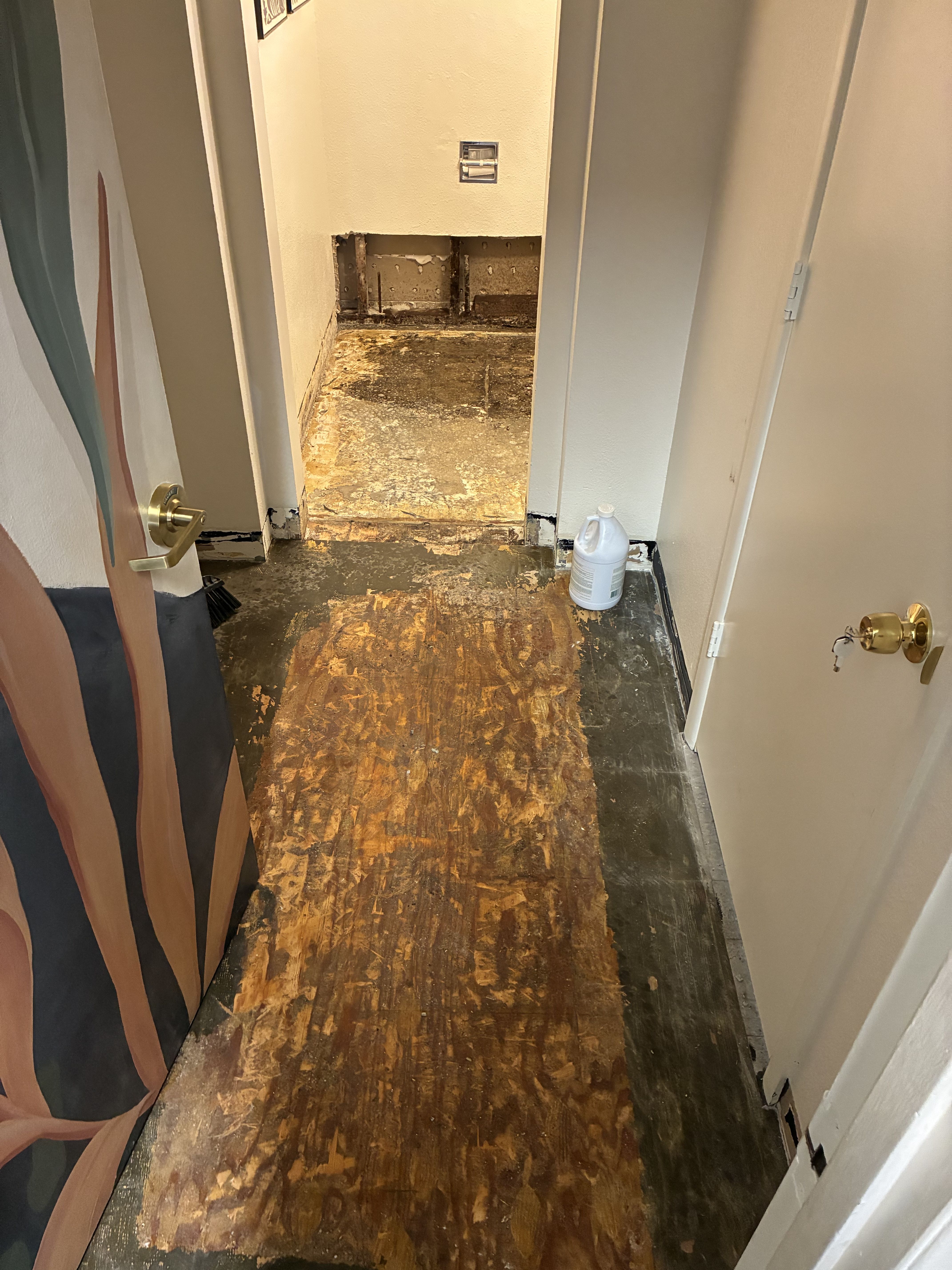 Blog post Common Water Damage Issues in Salmon Creek, WA – What Homeowners Need To Know image