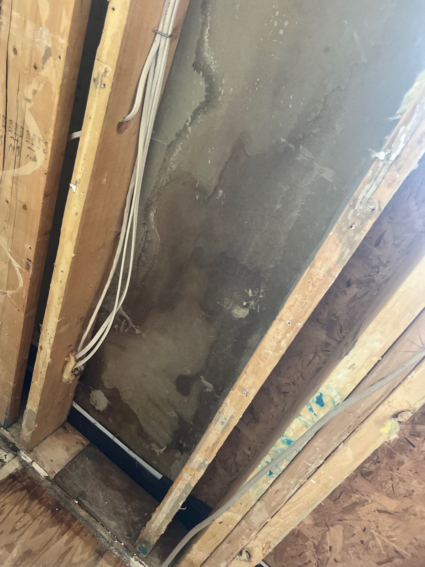 Blog post Hidden Water Damage: 10 Warning Signs Every Homeowner Should Never Ignore image